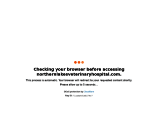 northernlakesveterinaryhospital.com screenshot