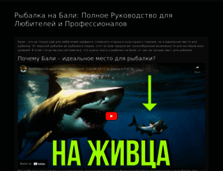novabiz.ru screenshot