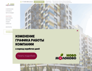 novo-molokovo.ru screenshot