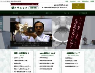 nozomi-clinic-japan.com screenshot