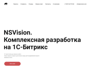 nsvision.com screenshot