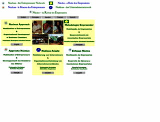 nucleus-international.net screenshot