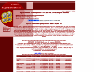 nugeldverdienen.nl screenshot