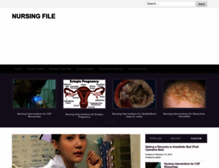 nursingfile.com screenshot
