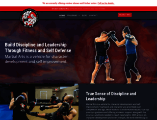 nybestkickboxing.com screenshot