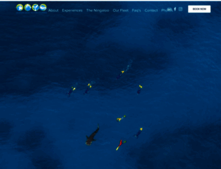 oceanecoadventures.com.au screenshot