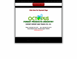 octopus.com.tr screenshot