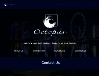 octopusgroup.com.sg screenshot