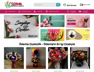 odemiscicek.com screenshot