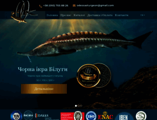 odessasturgeon.com screenshot