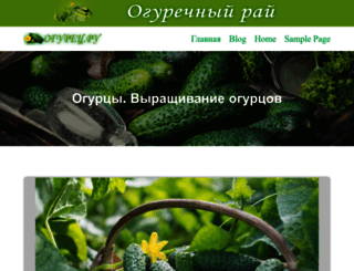 ogyrets.ru screenshot