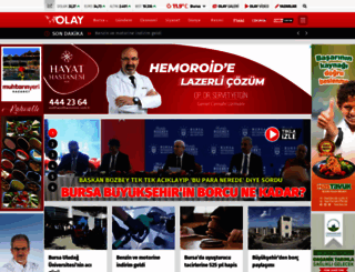 olay.com.tr screenshot