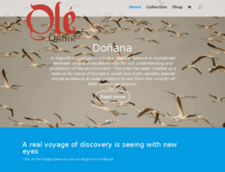 oleonline.com screenshot