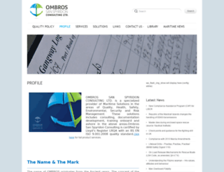 ombros-consulting.com screenshot