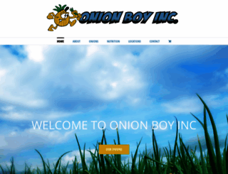 onionboyinc.com screenshot