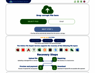 onlinefilerepair.com screenshot