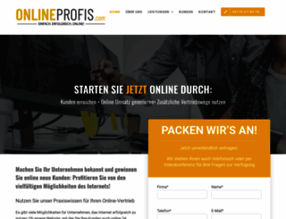 onlineprofis.com screenshot