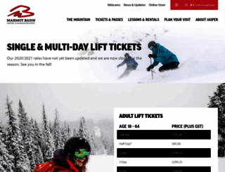 onlinestore.skimarmot.com screenshot