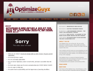 optimizeguyz.com screenshot