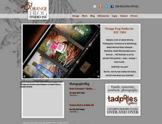 orangefrogstudio.com screenshot
