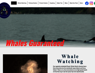orcasislandwhales.com screenshot