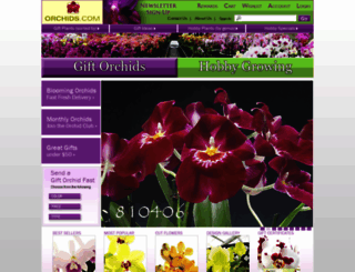 orchids.com screenshot