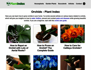 orchidview.com screenshot