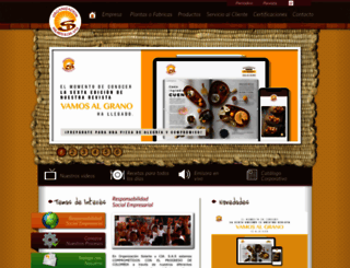organizacionsolarte.com screenshot