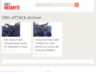 owl-attack.dailymegabyte.com screenshot