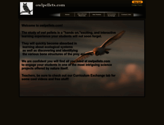 owlpellets.com screenshot