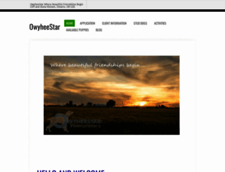 owyheestar.com screenshot