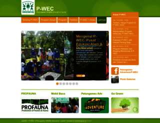 p-wec.org screenshot