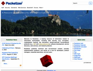 packetizer.com screenshot