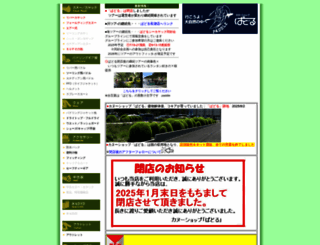 paddle-net.com screenshot