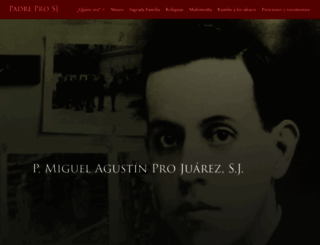 padrepro.com.mx screenshot