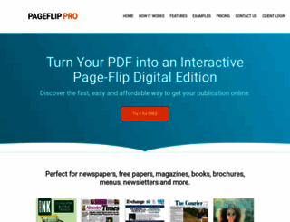 pageflip.site screenshot