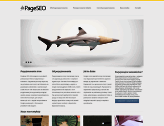 pageseo.pl screenshot