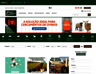 paginacampeira.com.br screenshot