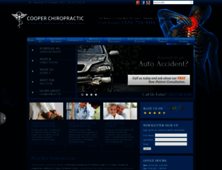 palmbaychiropractors.com screenshot
