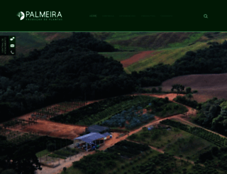 palmeirapaisagismo.com.br screenshot
