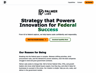 palmerlabs.com screenshot