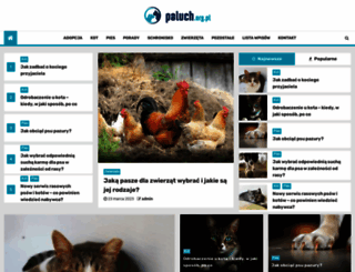 paluch.org.pl screenshot