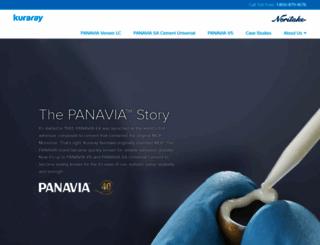 panaviacements.com screenshot