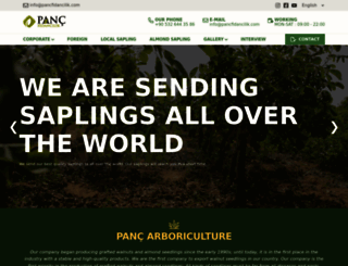pancfidancilik.com.tr screenshot