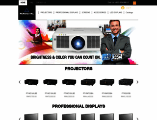 pandigitalbiz.com screenshot