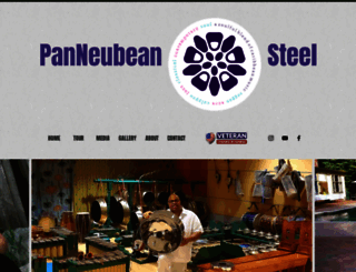 panneubeansteel.com screenshot