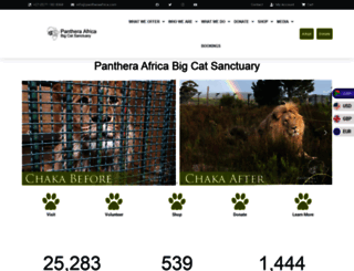 pantheraafrica.co.za screenshot