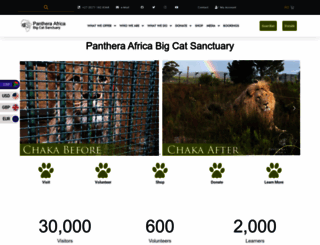 pantheraafrica.com screenshot