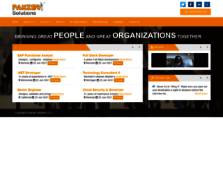 panzersolutions.com screenshot