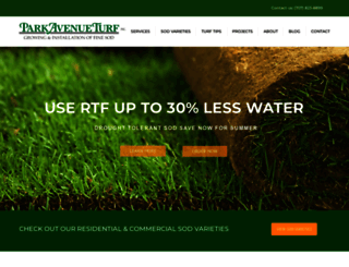 parkavenueturf.com screenshot